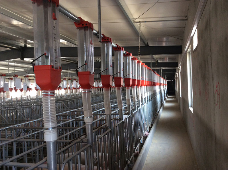 養(yǎng)豬工程案例(圖3) 養(yǎng)豬工程案例(圖3)