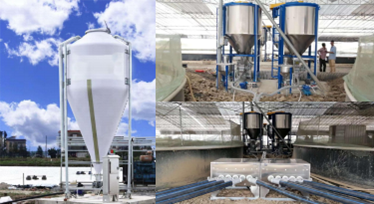 養(yǎng)牛工程(圖2)